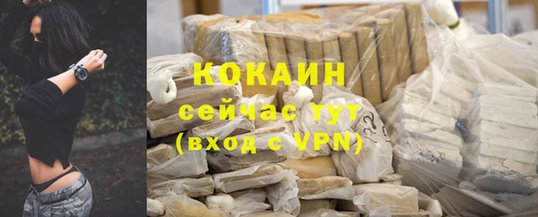 индика Алексеевка