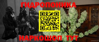 a pvp Комсомольск-на-Амуре