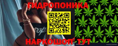 СК Коммунар