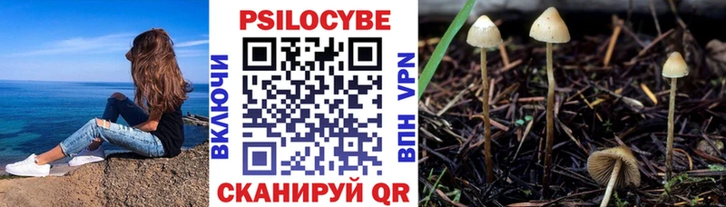 Галлюциногенные грибы GOLDEN TEACHER Мегион