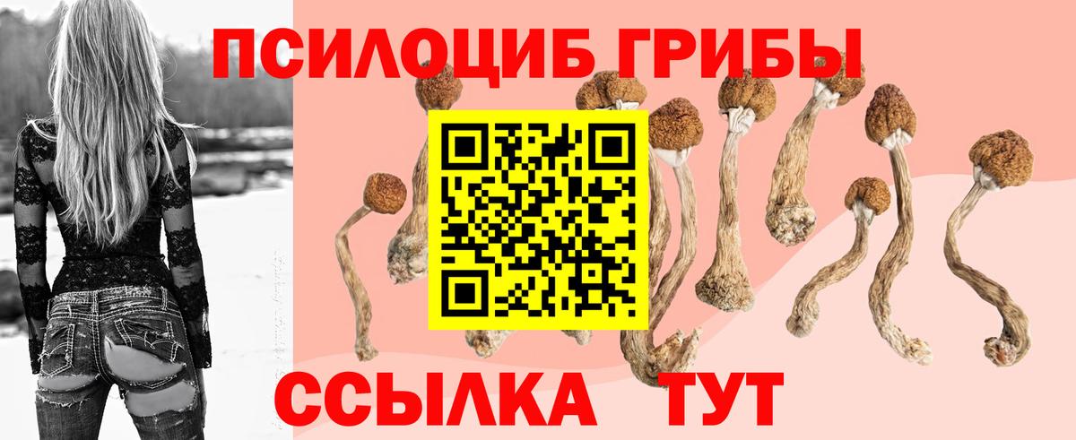Галлюциногенные грибы ЛСД  Псилоцибиновые грибы мухоморы  Вход с VPN  Мегион 